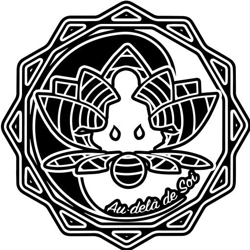 Au-delà de Soi369 Jean-Baptiste Tissandié